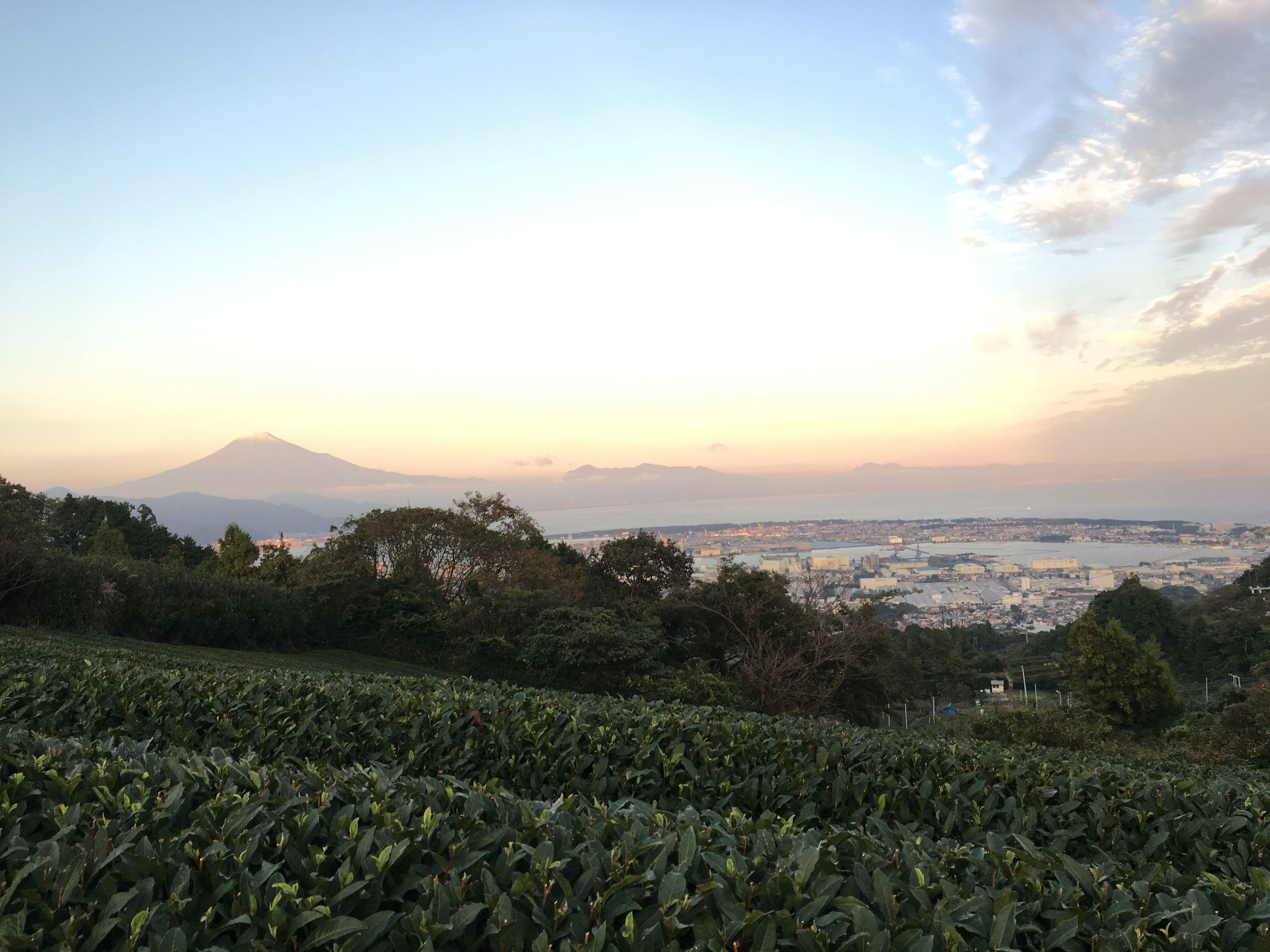 富士山の日の出
